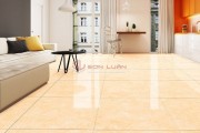 Gạch Ốp Lát APODIO 66182033